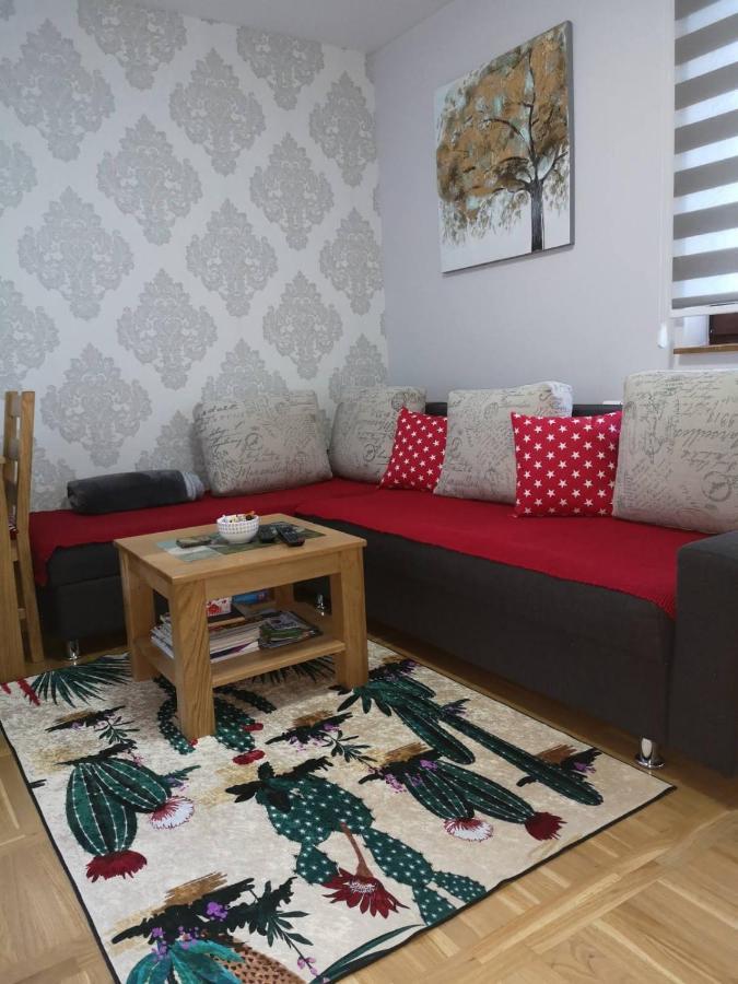 Apartment Gorski Javor ยาโฮรินา ภายนอก รูปภาพ