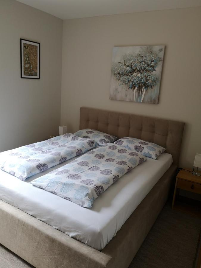 Apartment Gorski Javor ยาโฮรินา ภายนอก รูปภาพ